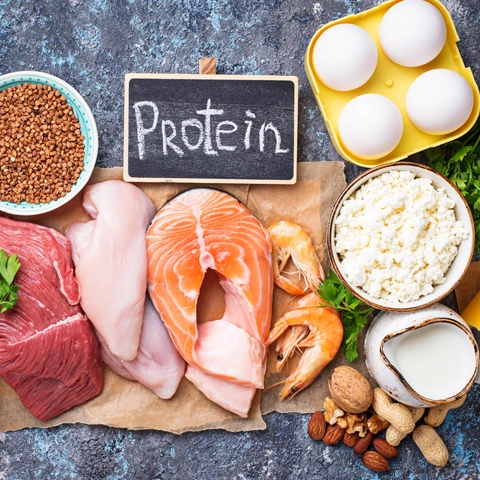 protein